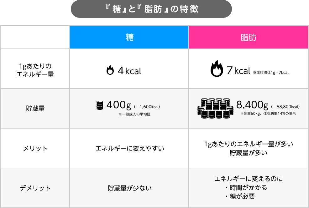 「糖」と「脂肪」の特徴