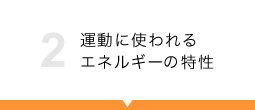 運動に使われるエネルギーの特性