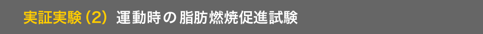 実証実験（2）　運動時の脂肪燃焼促進試験