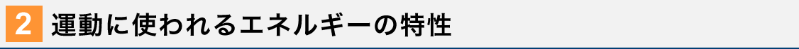 運動に使われるエネルギーの特性