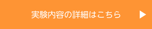実験内容の詳細はこちら