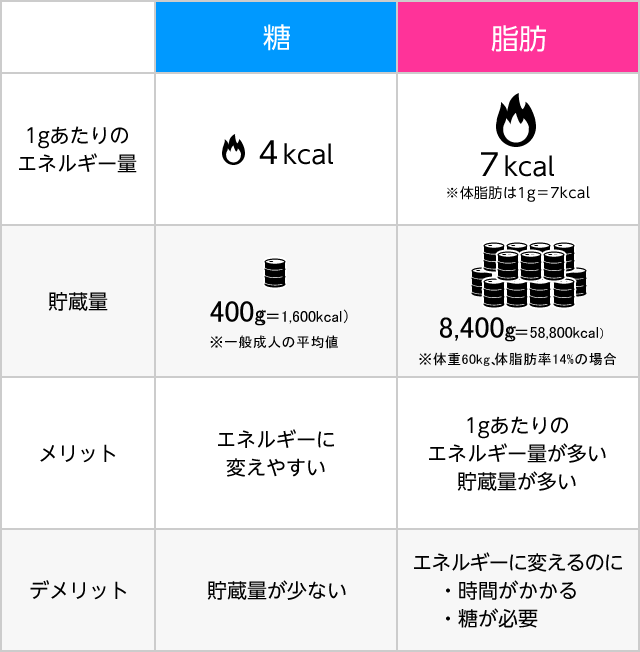 「糖」と「脂肪」の特徴