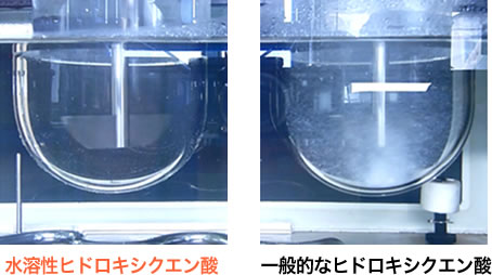 水溶性ヒドロキシクエン酸と一般的なヒドロキシクエン酸