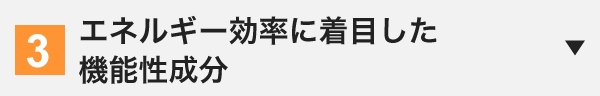 エネルギー効率に着目した機能性成分