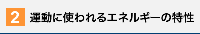 運動に使われるエネルギーの特性
